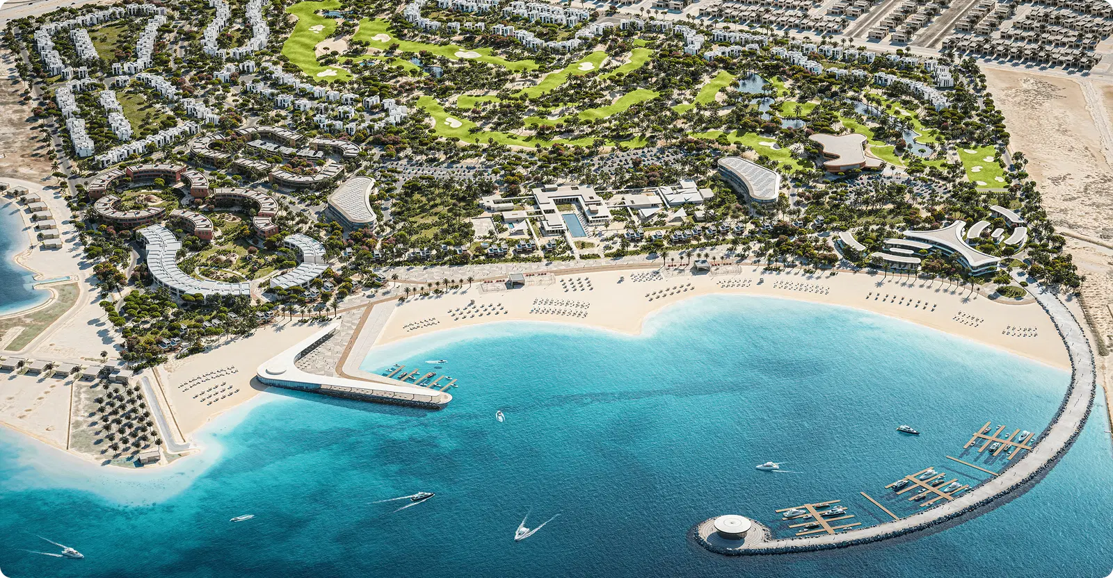 Roaya project image