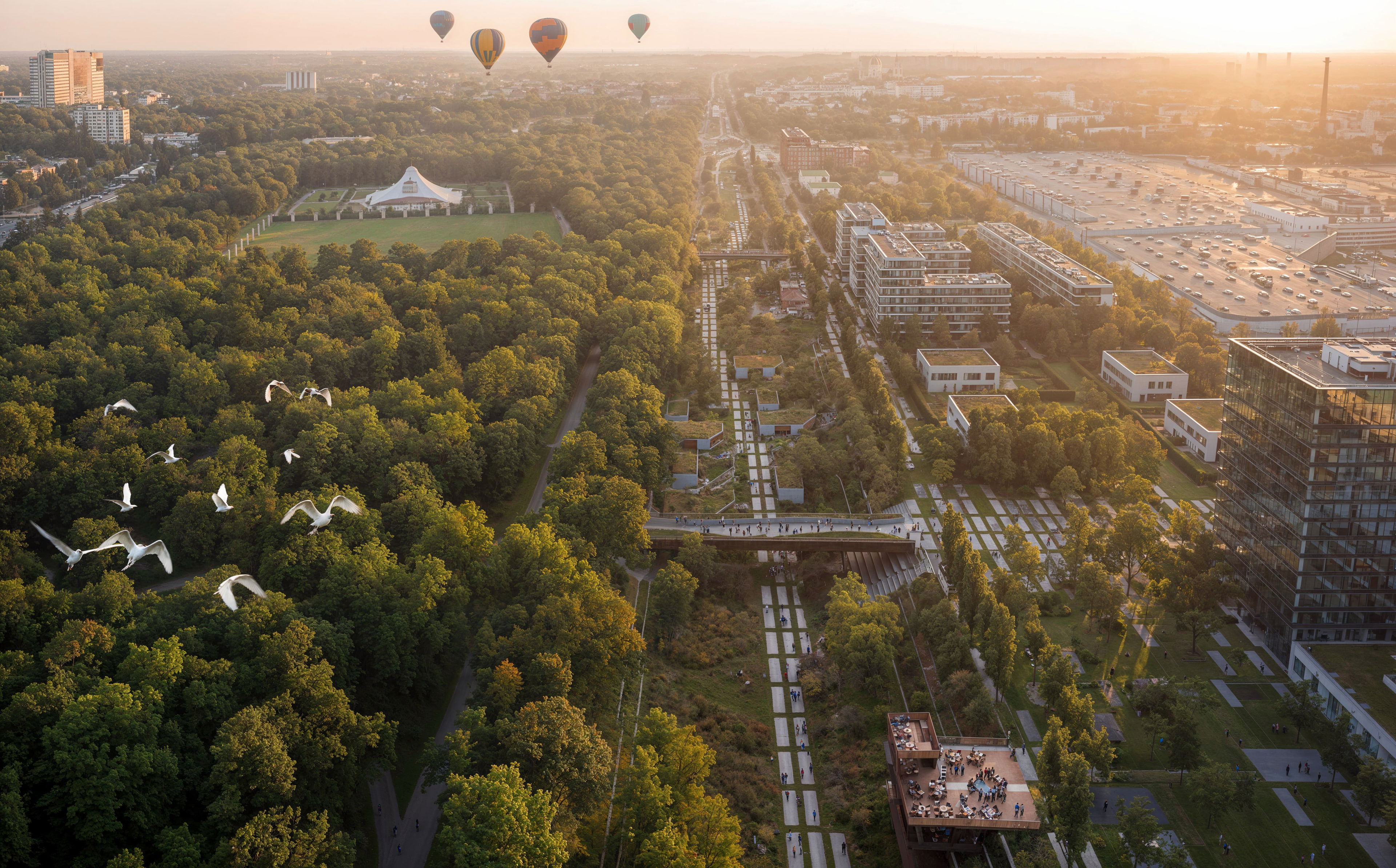 Chapman Taylor - 5th image