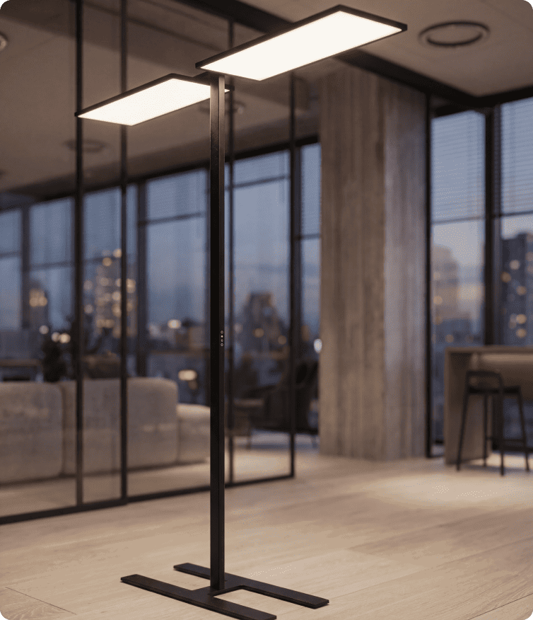 XAL - Looking Forward 1/3