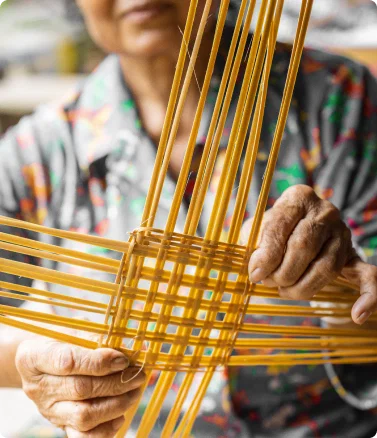 House of Bamboo - LF 2/3