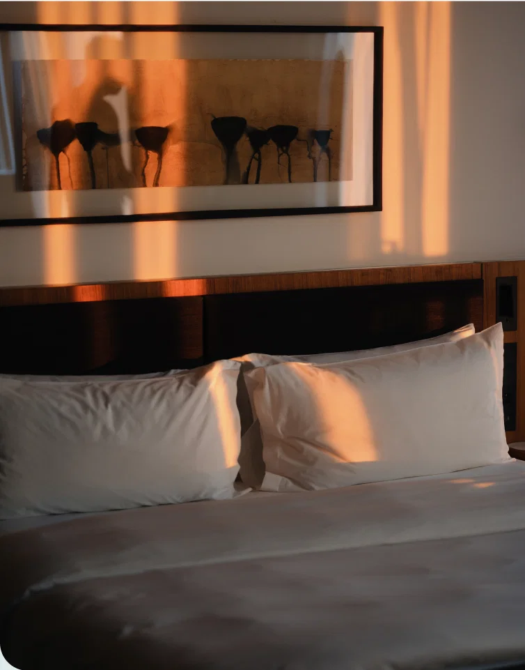 Sunlight casting warm tones on neatly made hotel bed