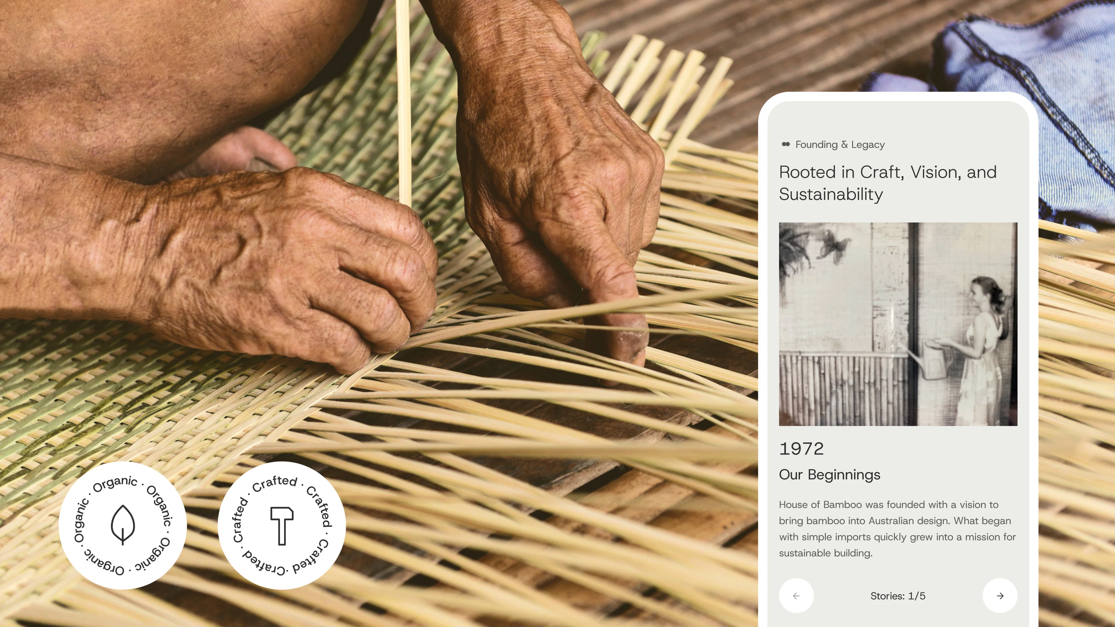 house of bamboo - final image