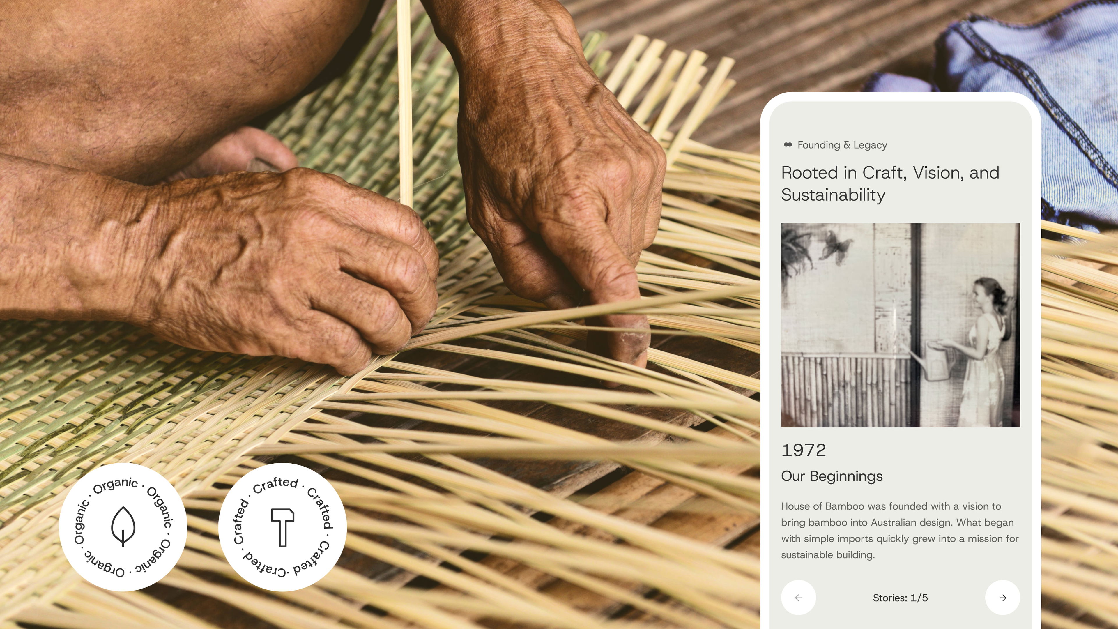 house of bamboo - final image