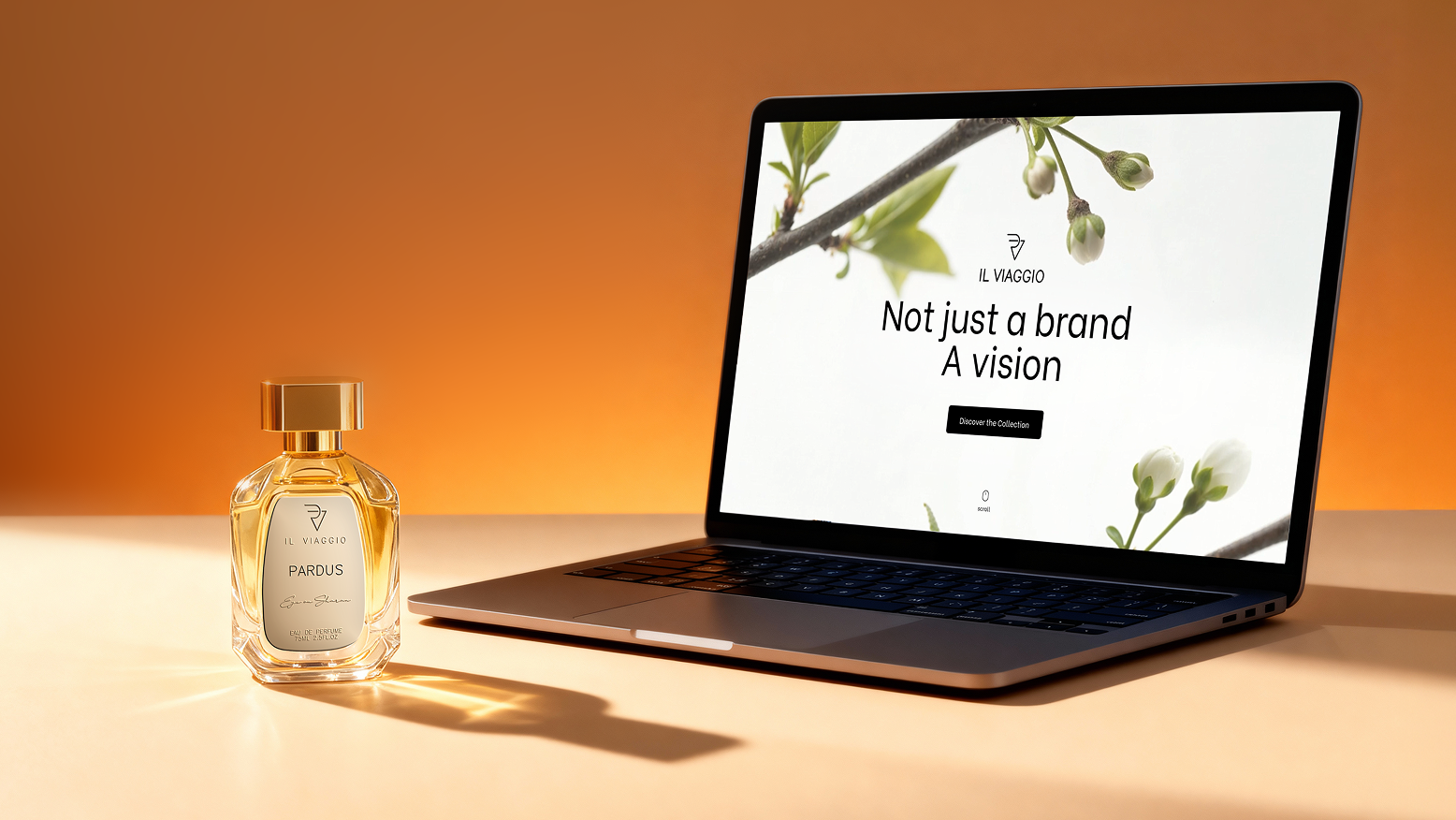 il viaggio looking forward section image 3/3