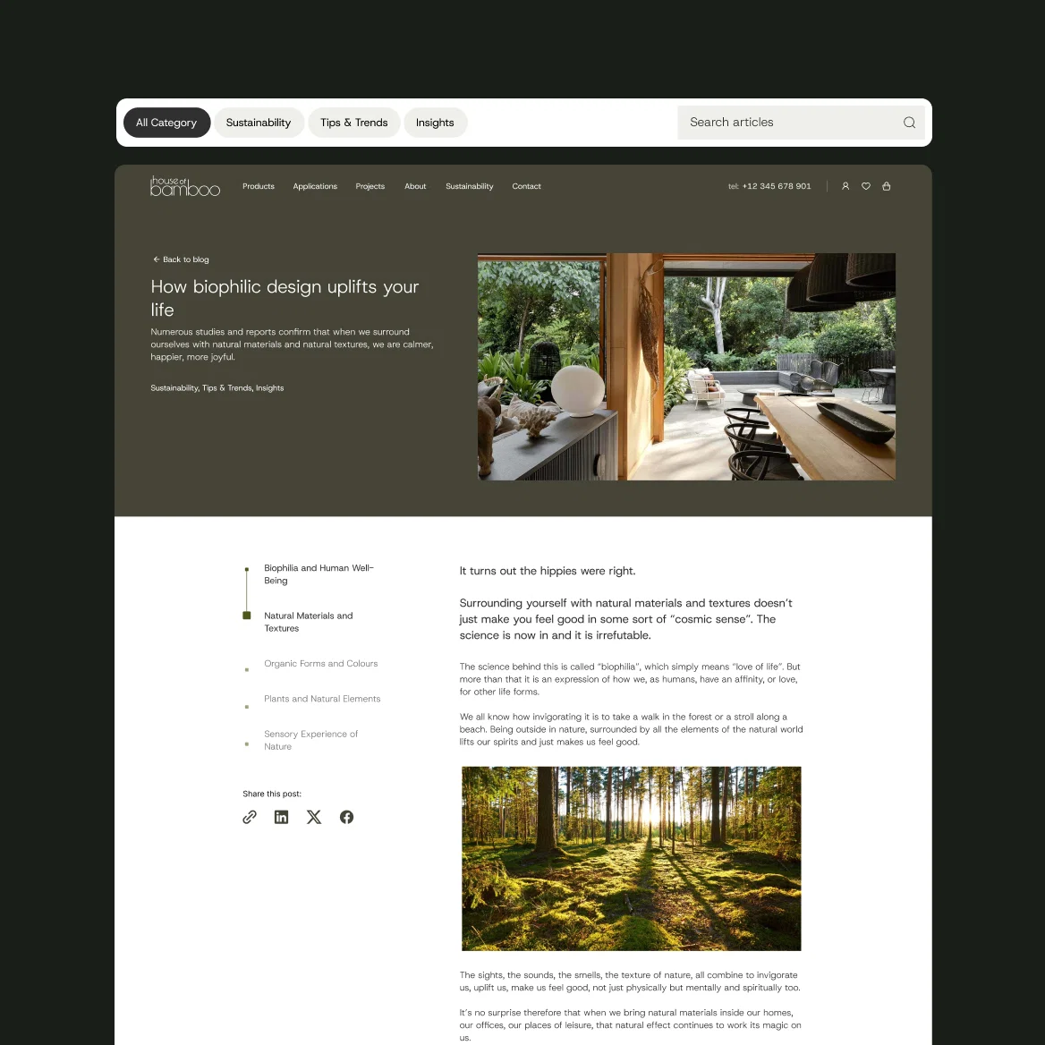 House of Bamboo - How we transform 6/7