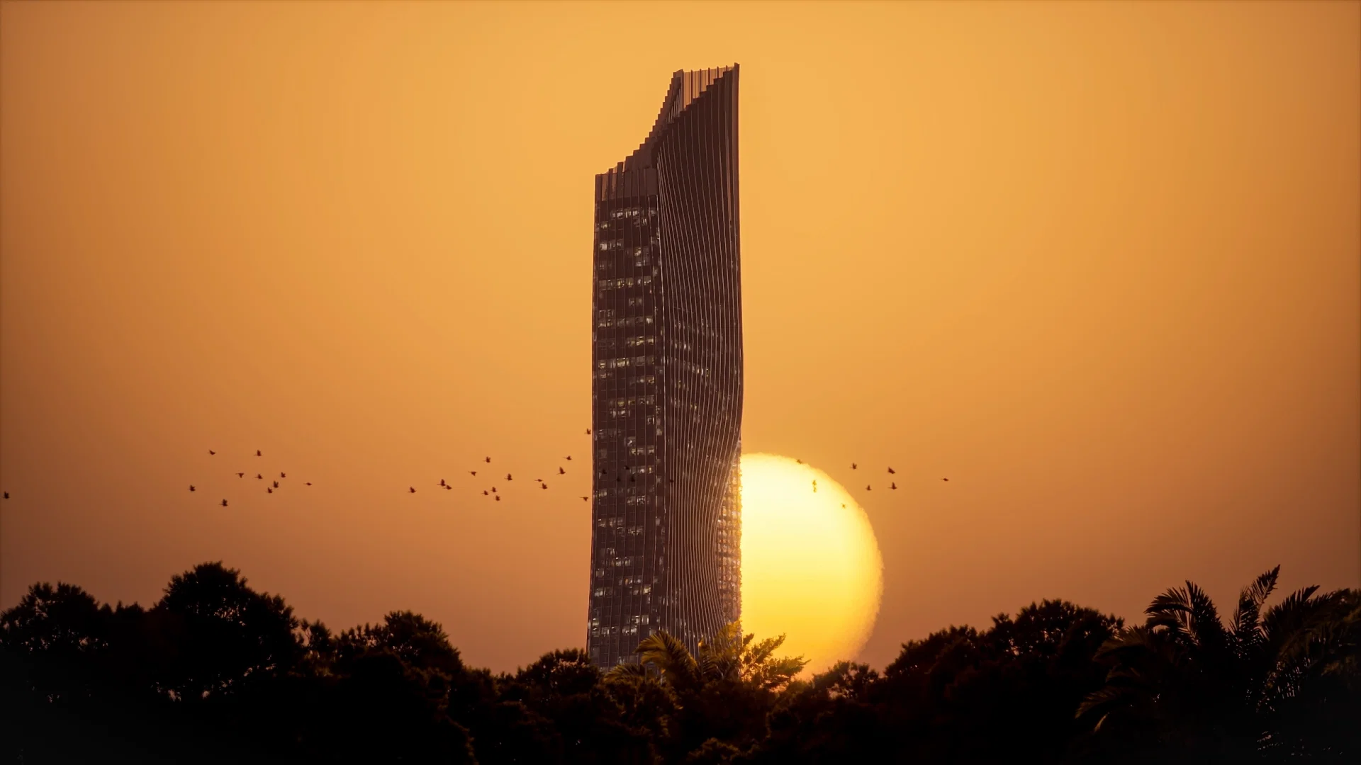 TIGER SKY COVER IMAGE