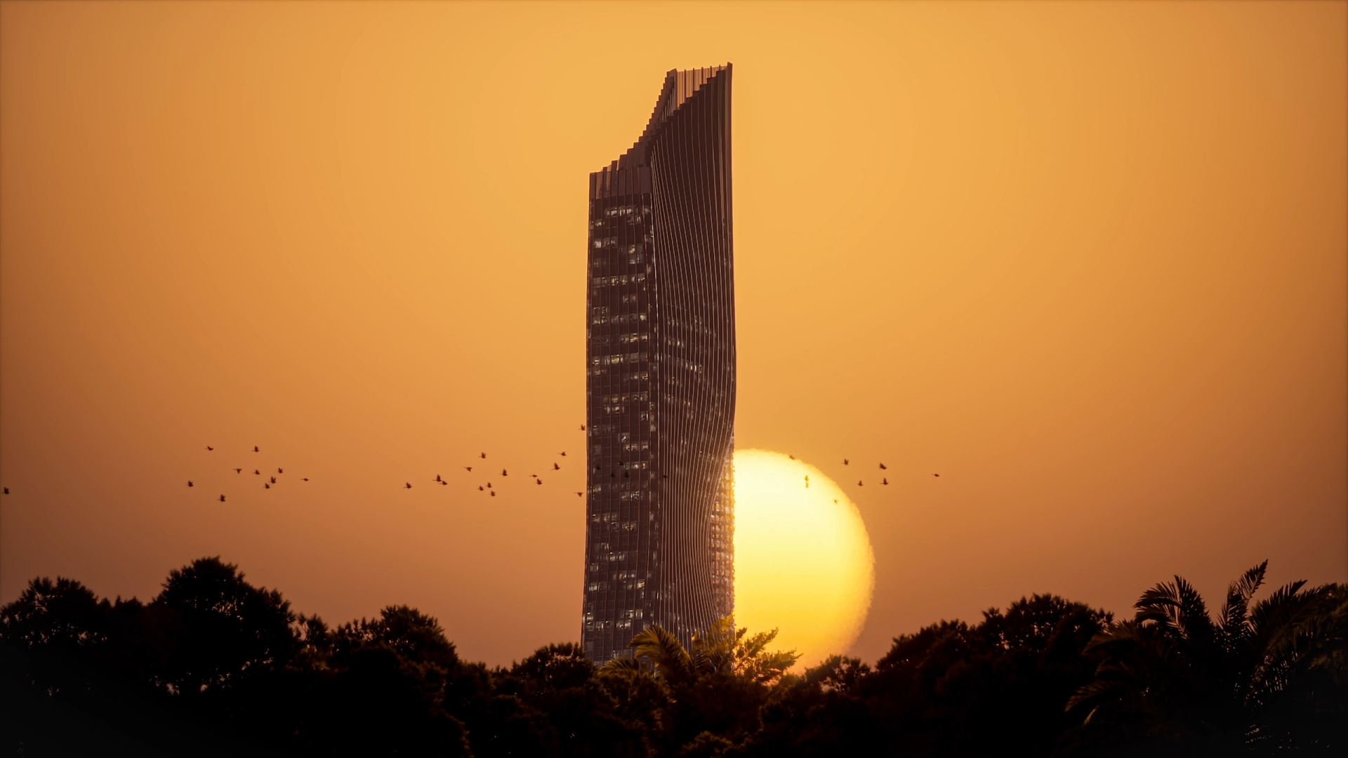 TIGER SKY COVER IMAGE