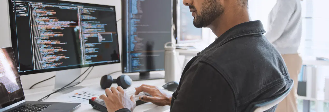 software developer