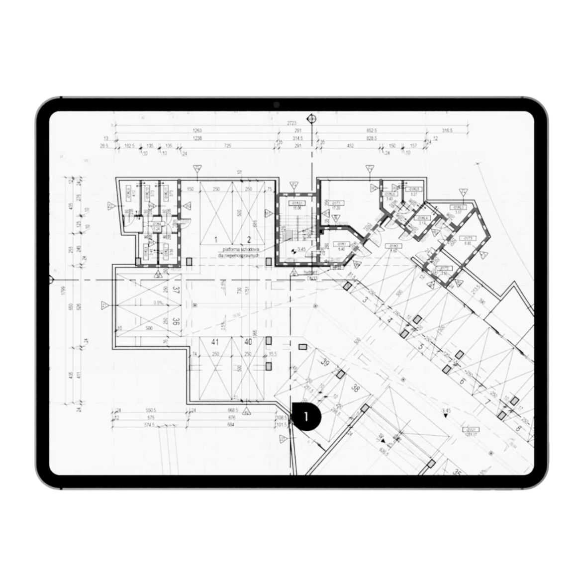 Animated Feature Illustrations