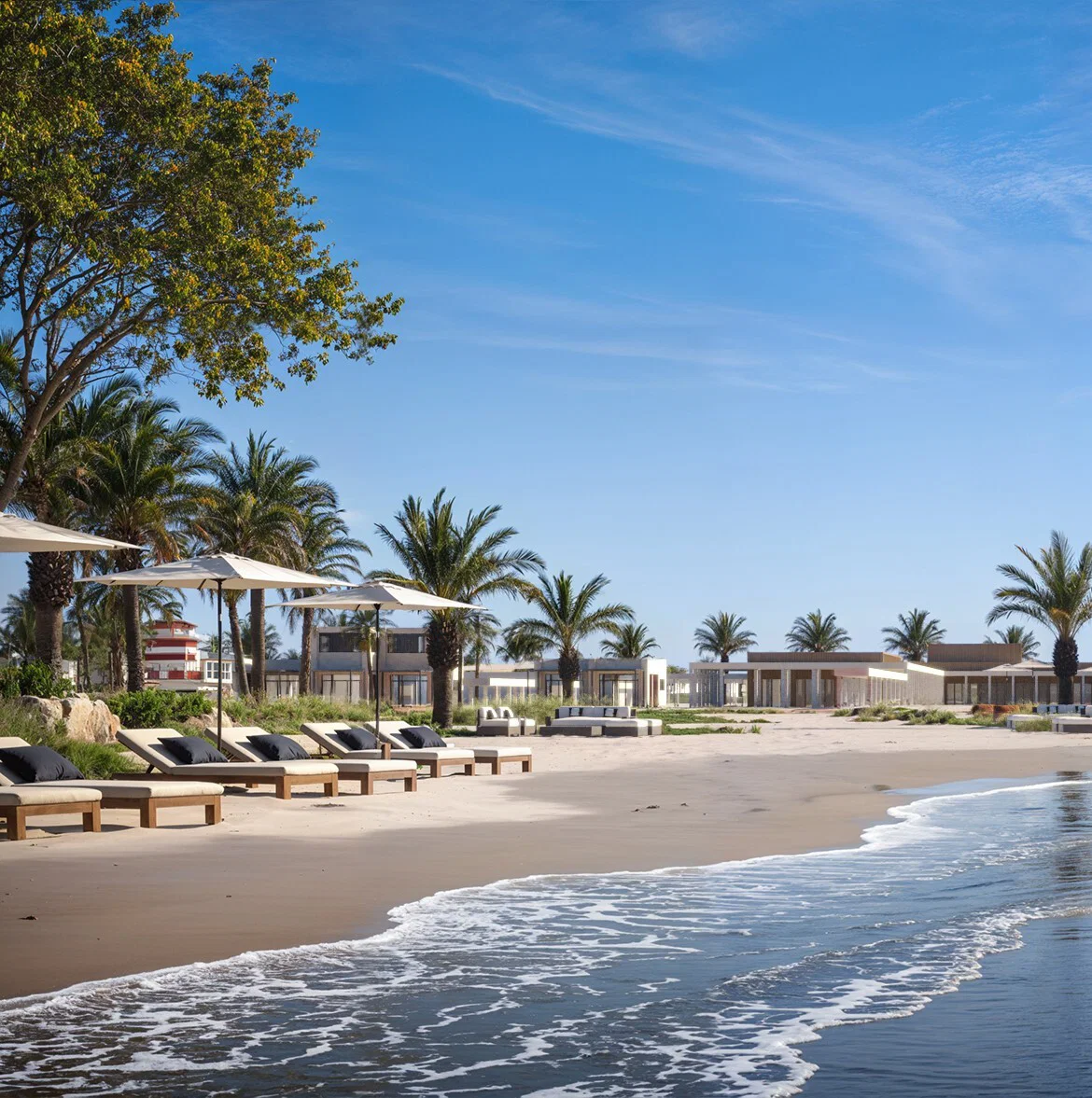 roaya final image for the 3 pac